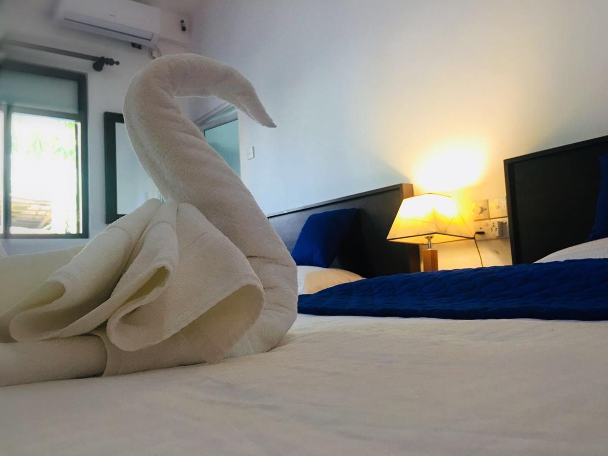 Blue Whale Holiday Hotel Mirissa Rum bild