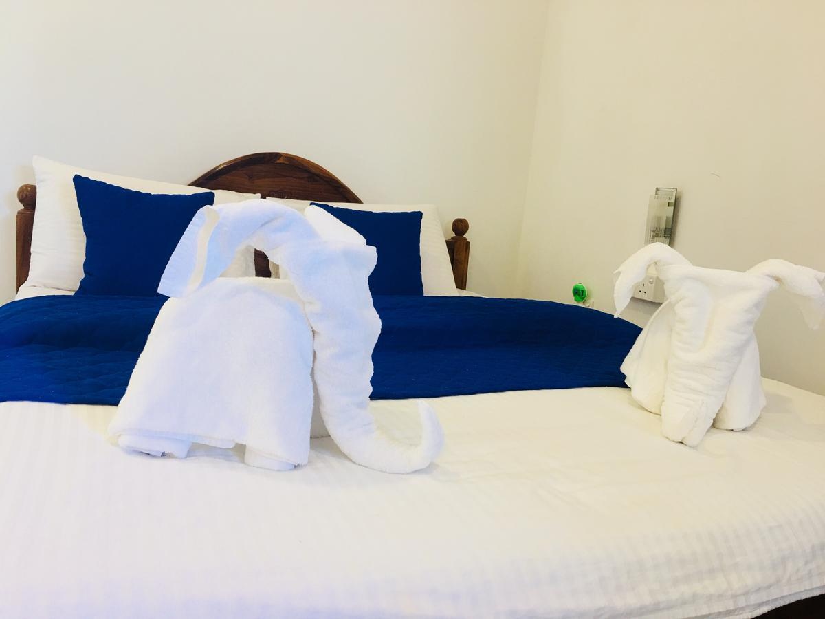 Blue Whale Holiday Hotel Mirissa Exteriör bild