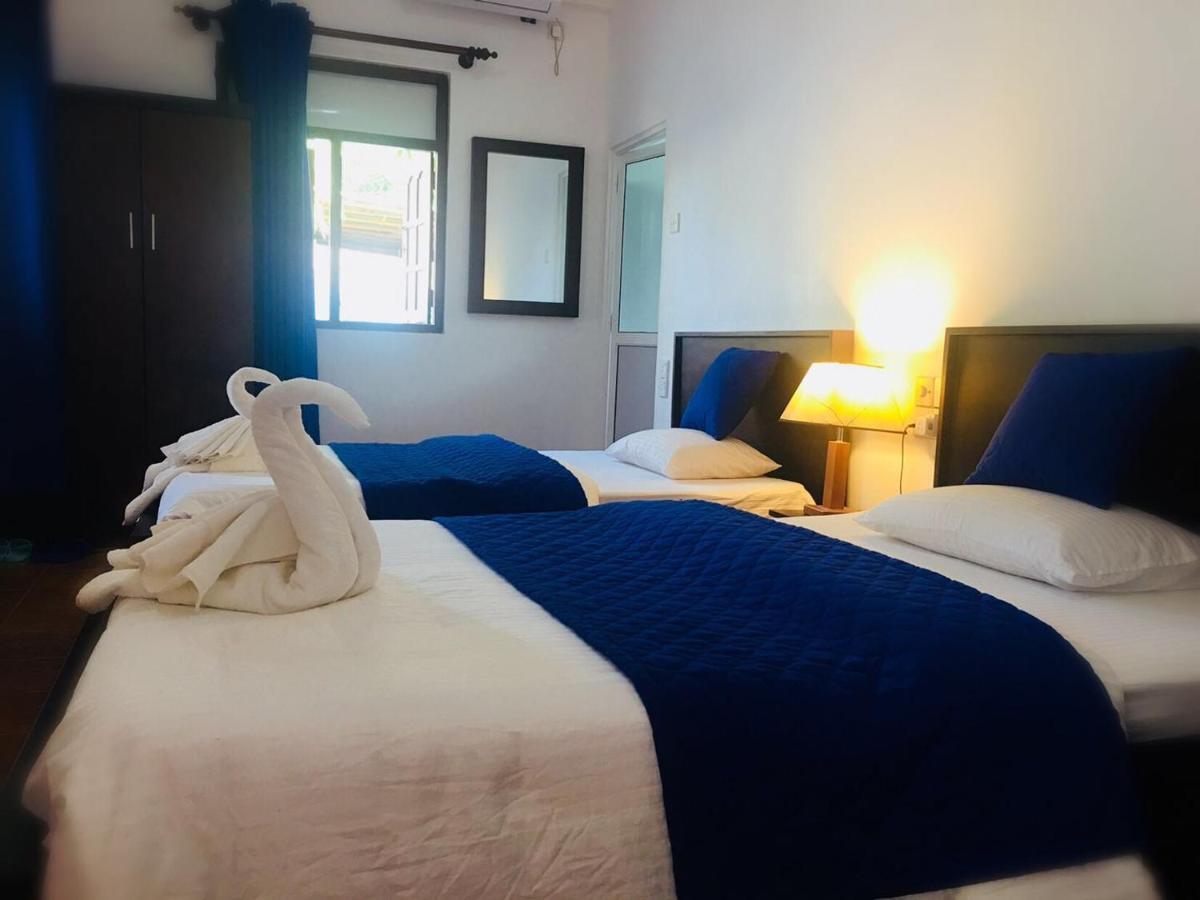 Blue Whale Holiday Hotel Mirissa Rum bild